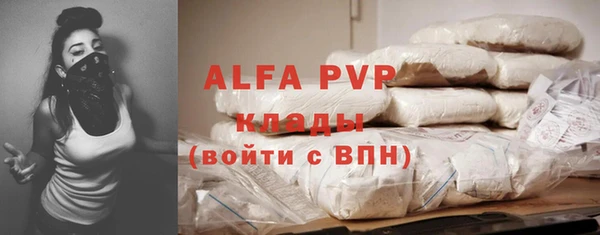 прущие грибы Абинск