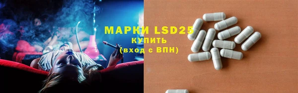 PSILOCYBIN Алзамай