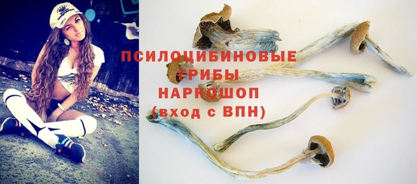 бошки Алексеевка
