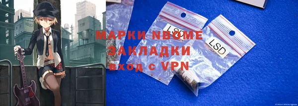 PSILOCYBIN Алзамай