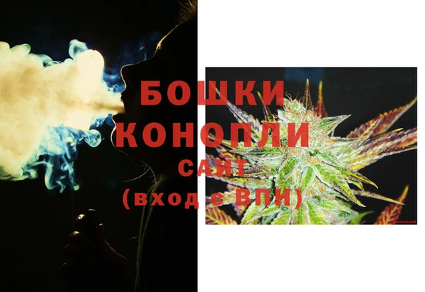 PSILOCYBIN Алзамай