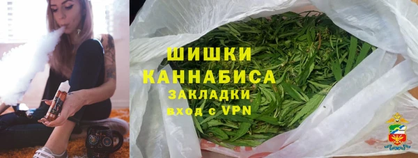 PSILOCYBIN Алзамай